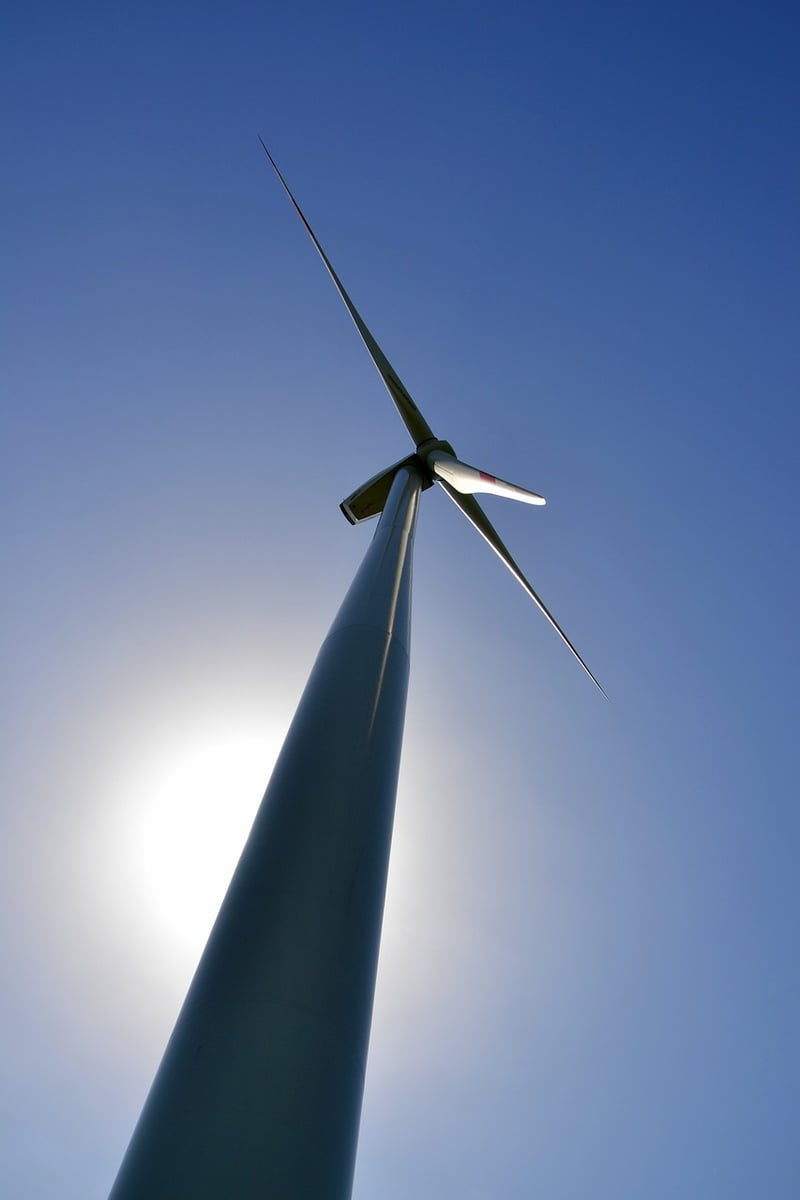 Sustainability Leader